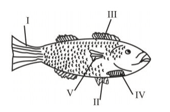 Question 15 diagram